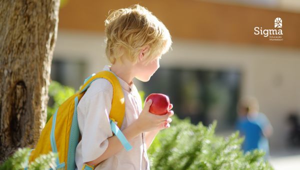 Adaptação escolar